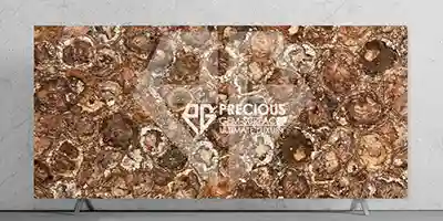 Petrified Wood Round